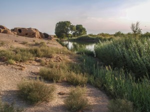 Maranjab desert (20)       